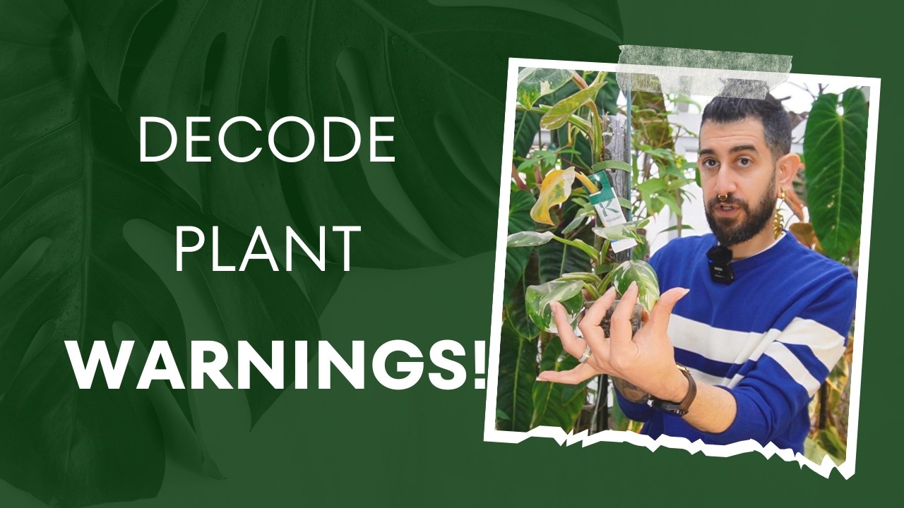 🚫 STOP! Signs You&rsquo;re Stressing Out Your Plants! 🌿😰