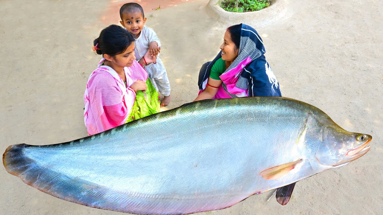 3 Kg চিতল মাছের পেটি পাতুরি | Big Size Chital fish paturi recipe | village style fishing and cooking