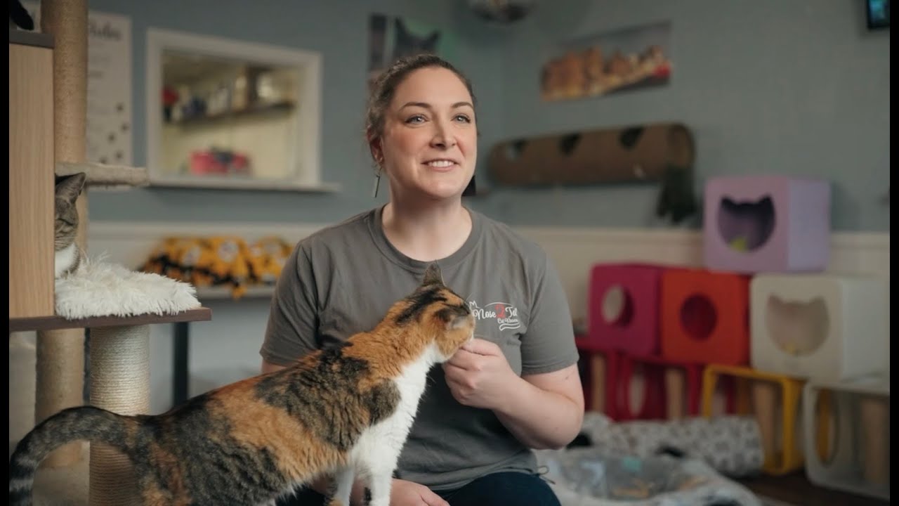 From Nose 2 Tail: Who We Are