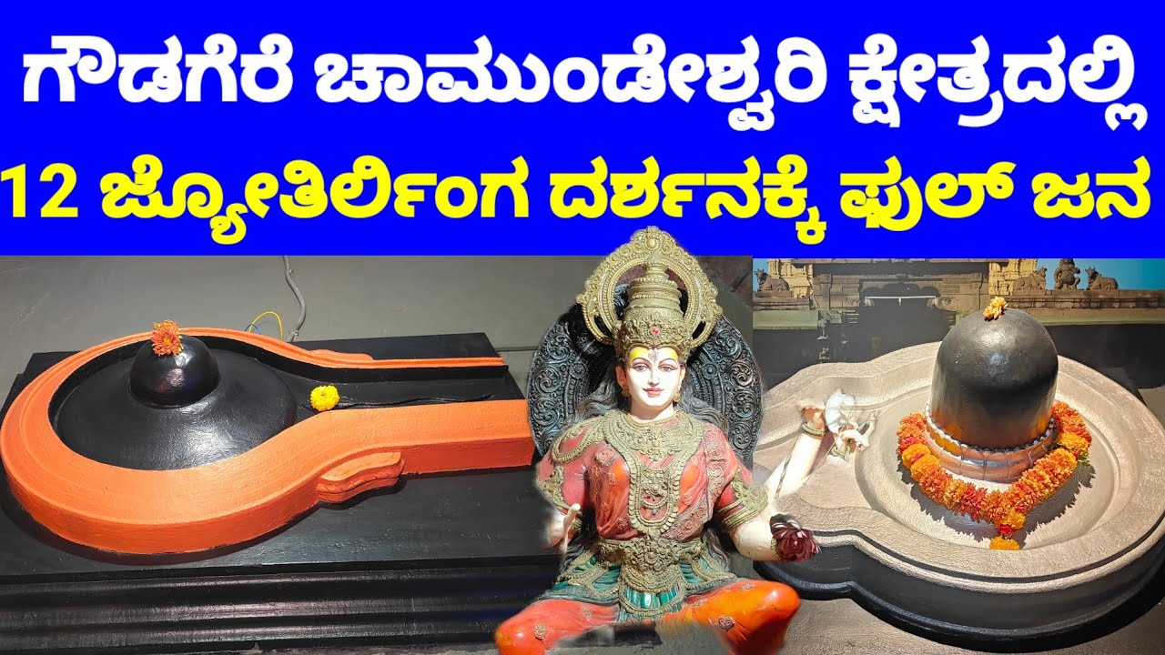 ಭಾರತ ದೇಶದಲ್ಲಿರುವ ಎಲ್ಲಾ 12 ಜ್ಯೋತಿರ್ಲಿಂಗಗಳು ಗೌಡಗೆರೆ ಚಾಮುಂಡೇಶ್ವರಿ ಕ್ಷೇತ್ರದಲ್ಲಿ ನೋಡುವ ಸೌಭಾಗ್ಯ 