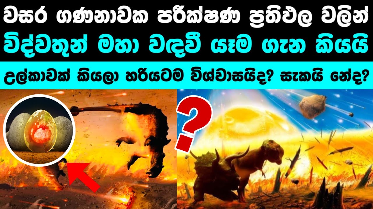 වැටුනේ උල්කාවක්ද නැද්ද කියලා විද්වතුන් කියයි ☄️| Real reason of the Last Mass Extinction