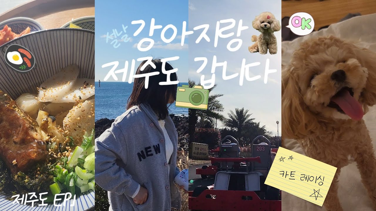 [제주도 여행 2박3일] 반려견과 함께한 여행기 EP.1 – 출발부터 다음 날 아침까지