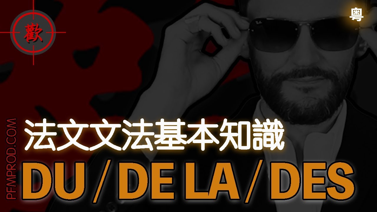[廣東話學法文] DU / DE LA / DES - 法文文法基本知識溫習 - PFMPROD.COM