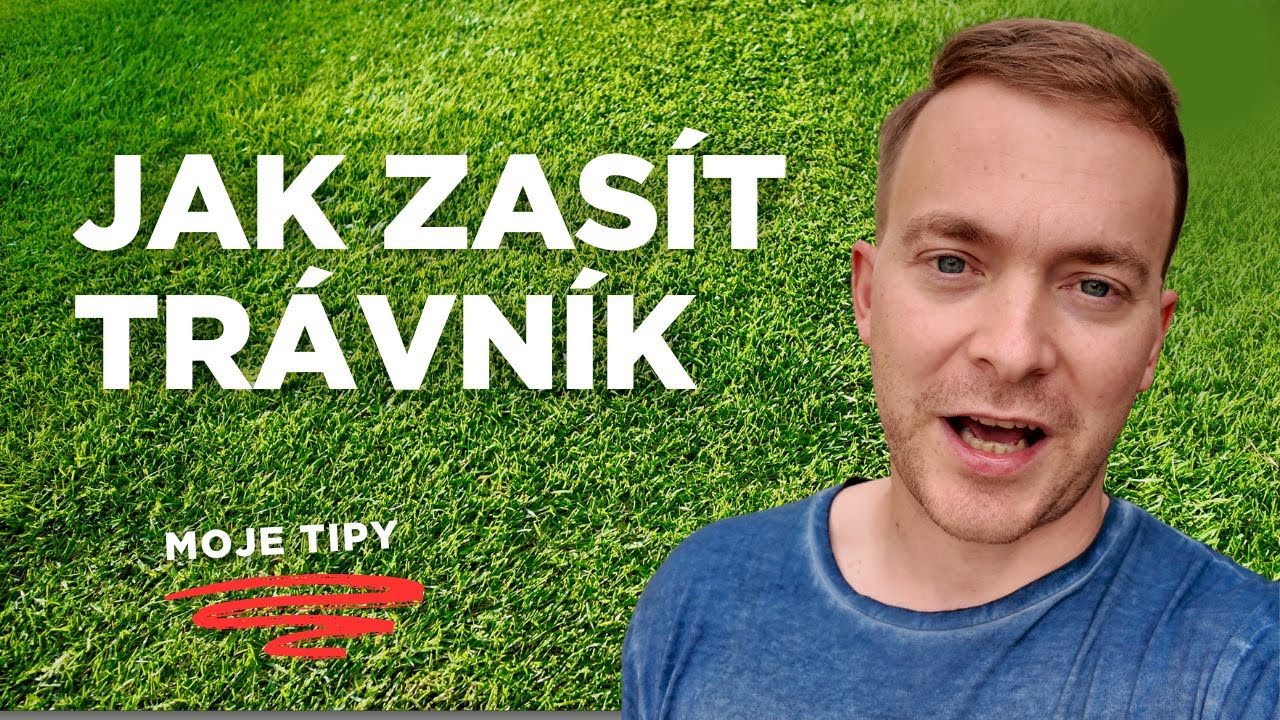 Jak zasít trávník