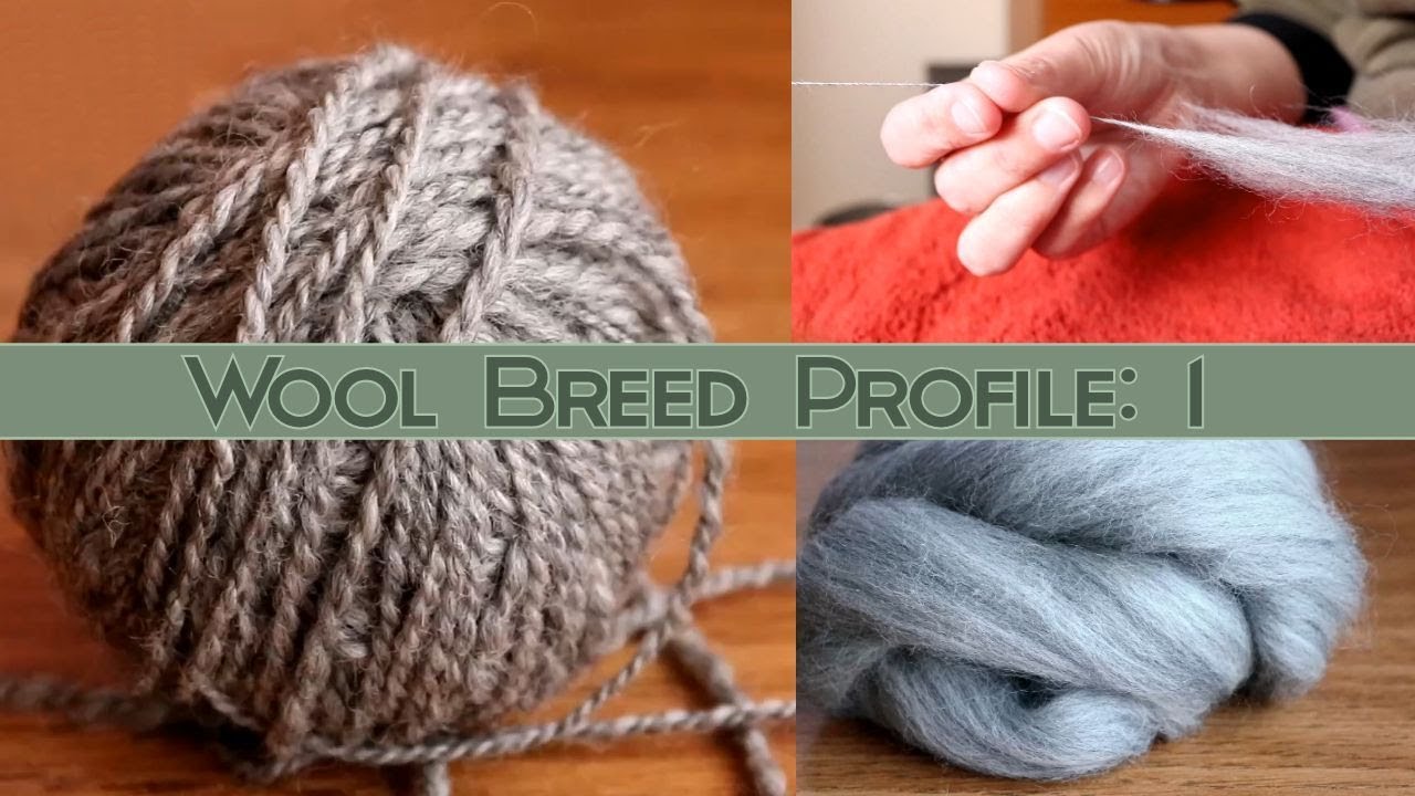 Hand Spinning Different Breeds: Corriedale Wool Profile