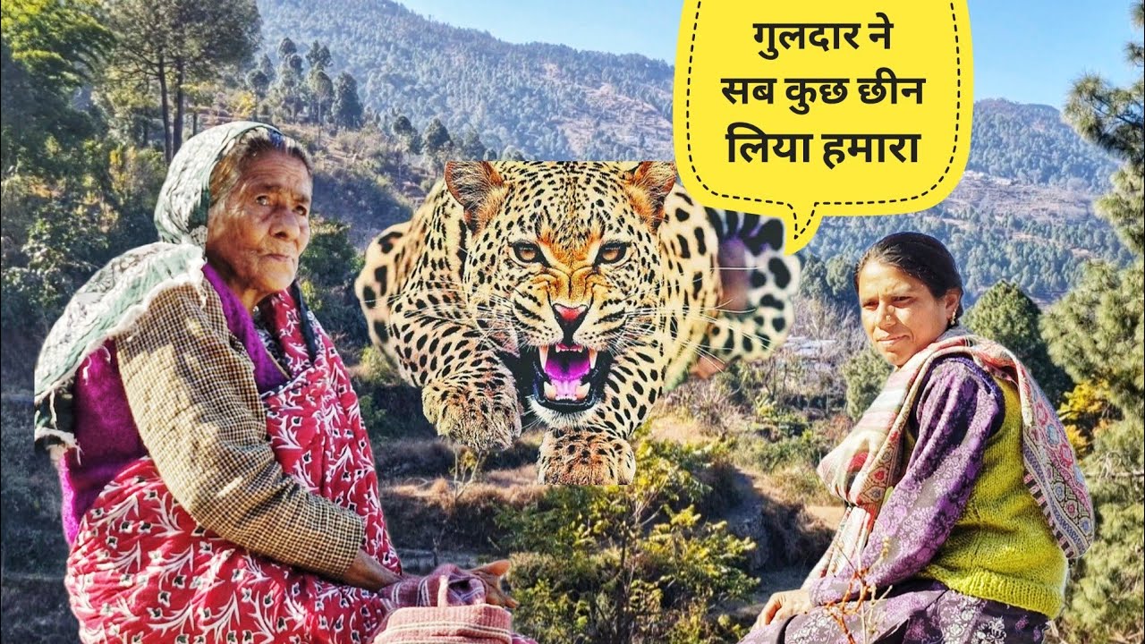 गुलदार ने छीना परिवार का सहारा l पहाड़ का दर्द l गजल्ट गांव पौड़ी गढ़वाल l Leopard attack 