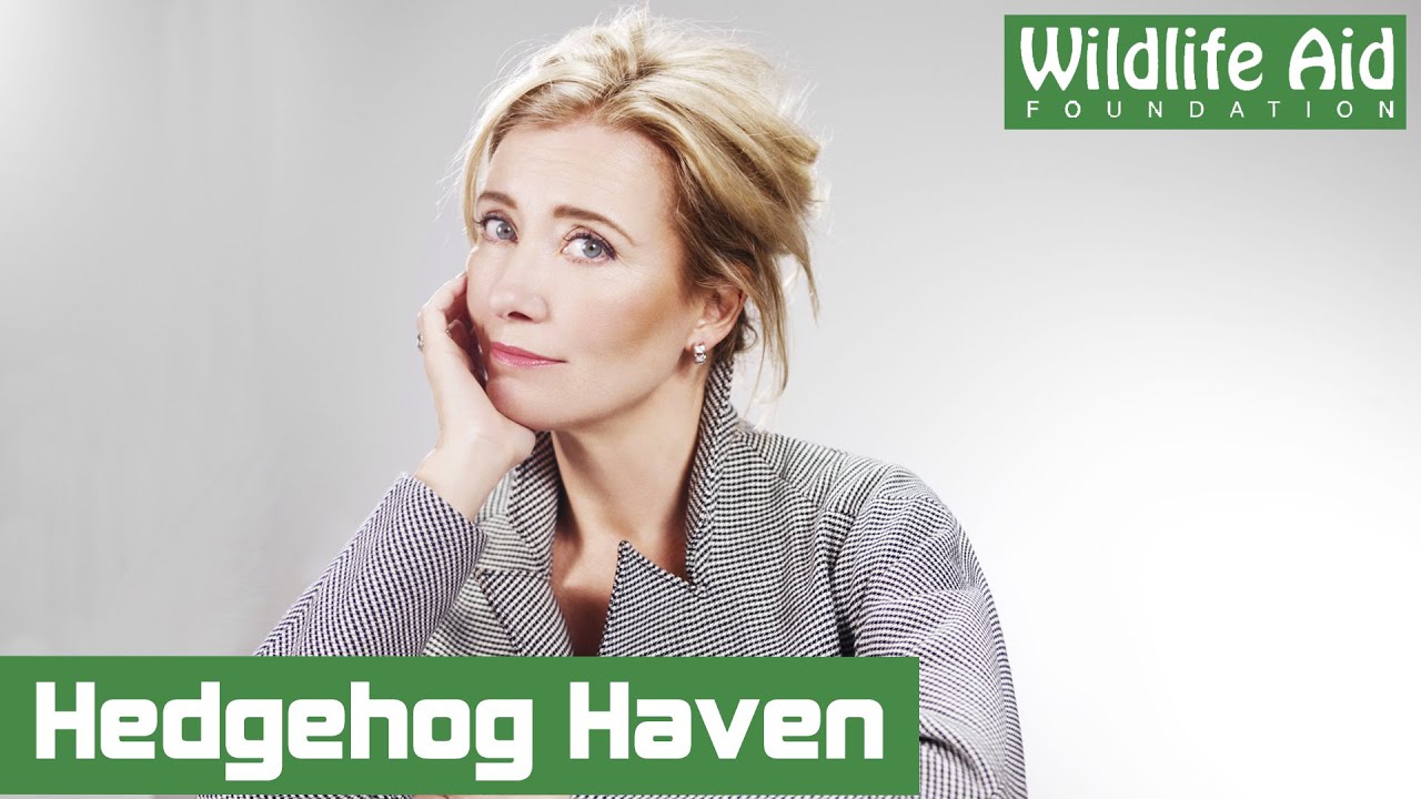 Emma Thompson’s Hedgehog Haven!