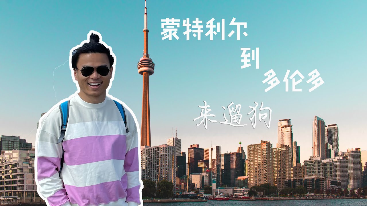 【VLOG】从蒙特利尔来多伦多遛狗 | Travel from Montreal to Toronto to Walk the Dog