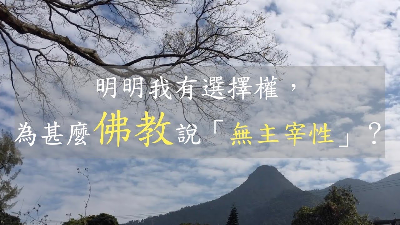 13-Q&A | 圓通寺 道源法師 禪修開示 第十三堂 2023 06 25