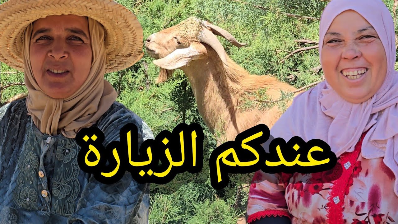 نهار جديد مع الأحباب ❤️❤️ هادي هيا الحياة الزينة