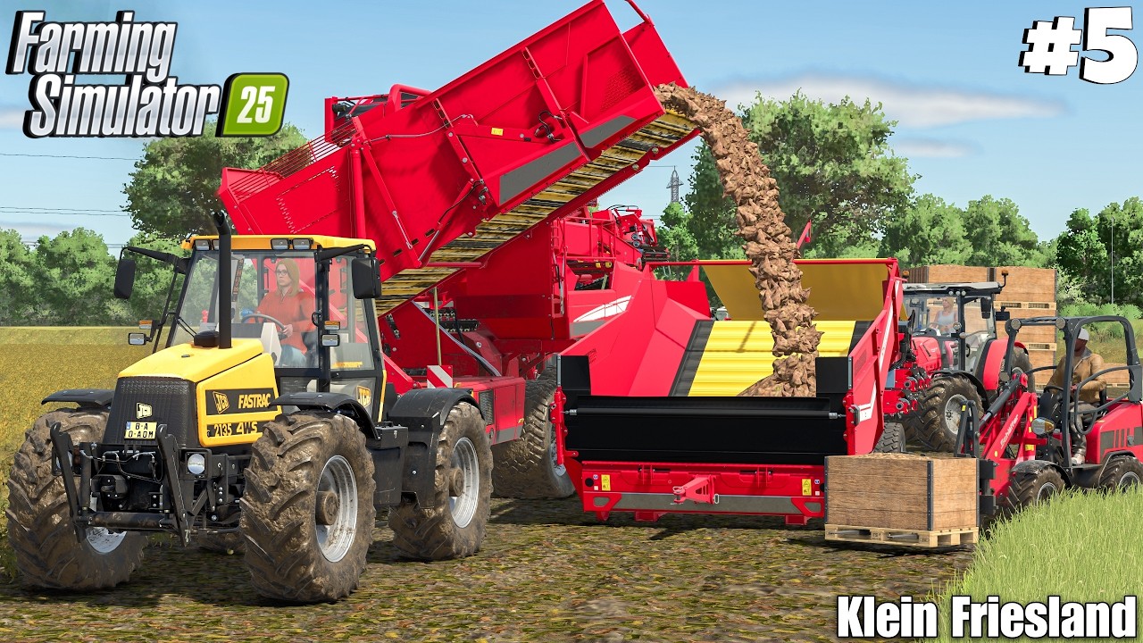 Harvesting Potatoes & Filling Pallet Box with Telehandler | Klein Friesland | Farming Simulator 25