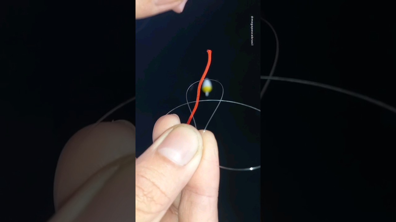 Como pescar lambar&iacute;. #pescaria #pescador #pesca #lambari #tutorial #dicas