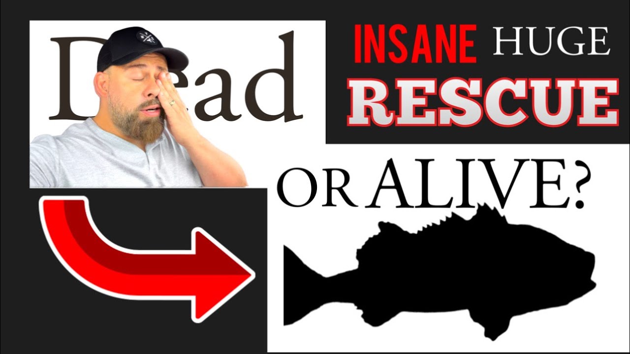 I HAD TO TAKE A PLANE TO RESCUE THIS *RECORD BREAKING* MONSTER FISH! WHAT WAS IT?!