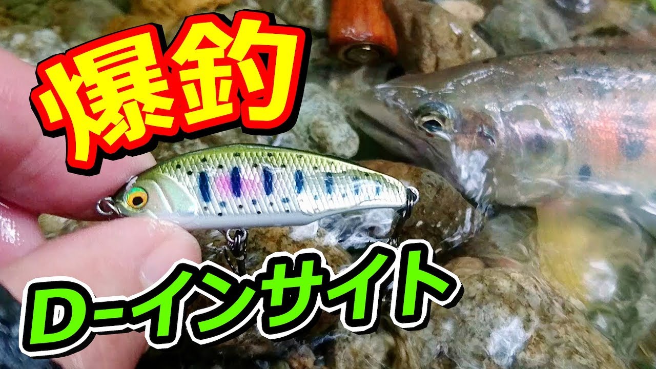 【爆釣】雨の日のD-インサイト！ゴルジュを越えるとお魚天国だった！『水中動画あり』