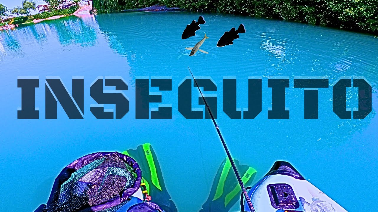 BASS FISHING in ESTATE con GROSSE esche TOP WATER