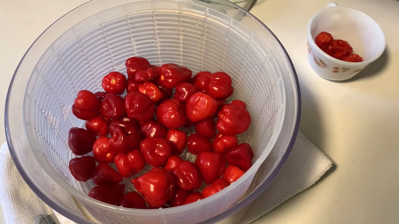 Как приготовить острый соус методом ферментации в вакуумном пакете