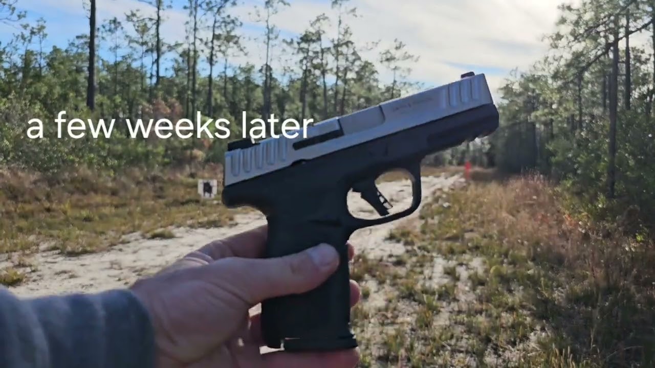 S&W SD40 2.0 first shots on paper and steel targets