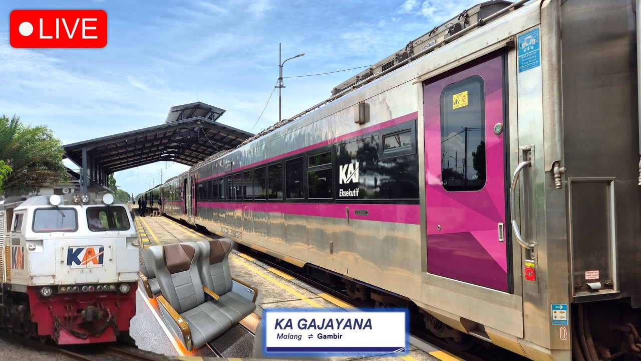 🔴 GRATIS NAIK KERETA TERNYAMAN JAKARTA MALANG !! Perjalanan Naik KA Gajayana New Generation 2026
