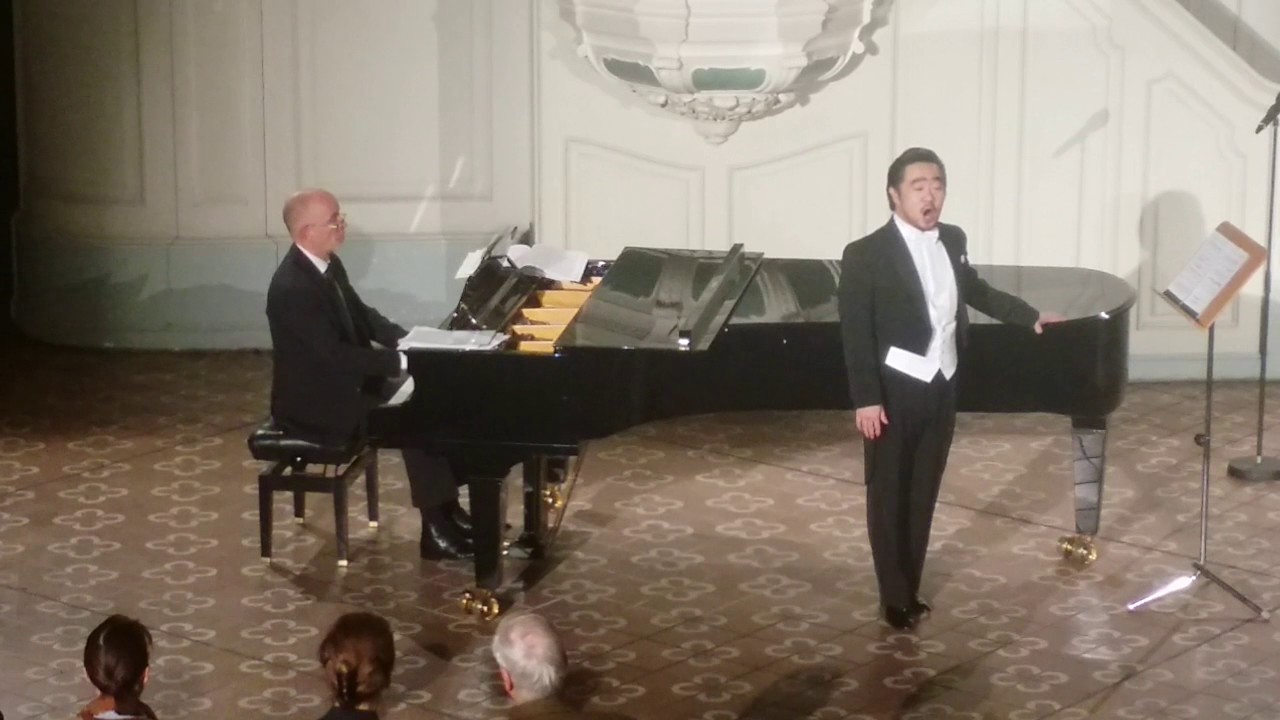 Gern hab' ich die Frau'n geküsst aus Paganini von F. Lehar Tenor Michael Ha