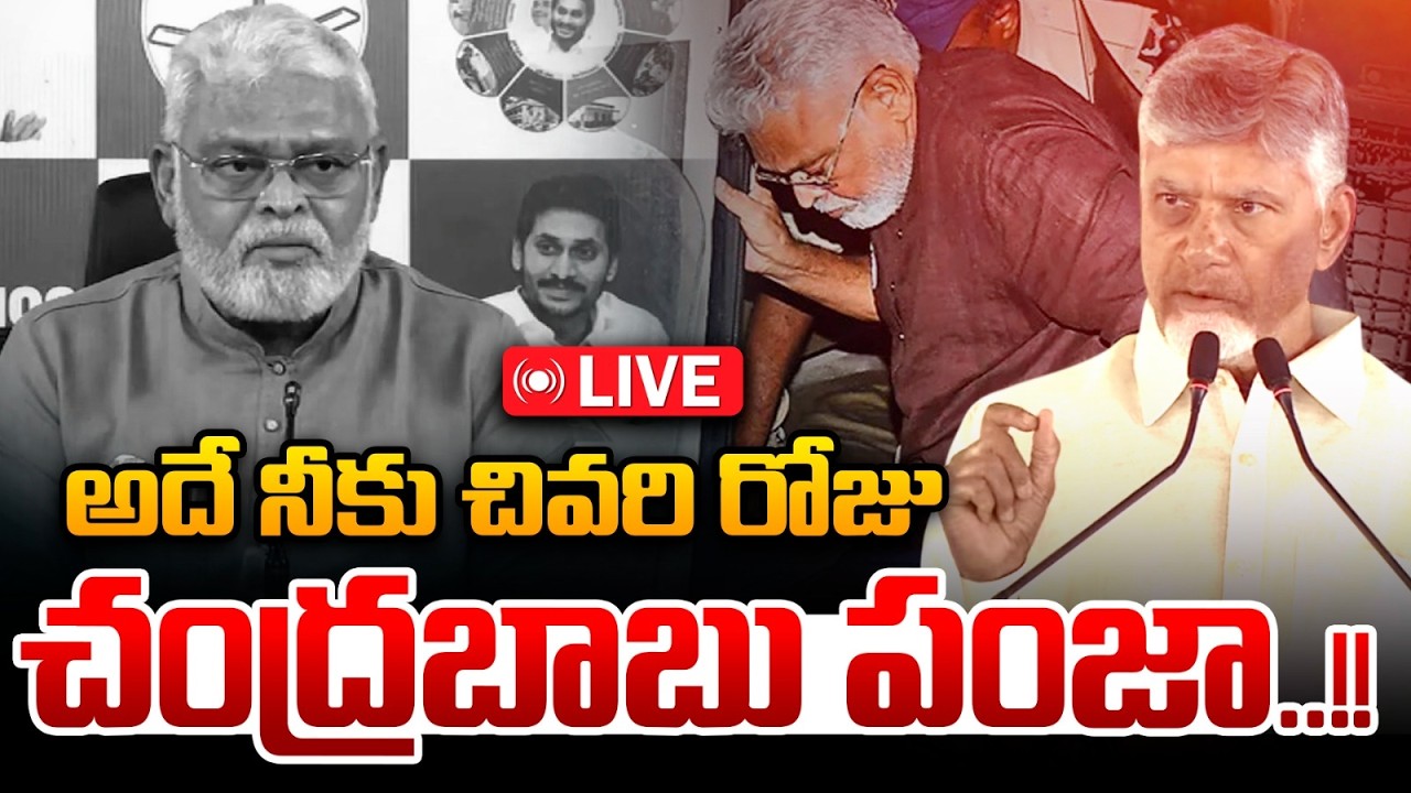 🔴LIVE: అదే నీకు చివరి రోజు.. వార్నింగ్ అంటే బాబుదే | CM Chandrababu Mass Warning | Wild Wolf Telugu