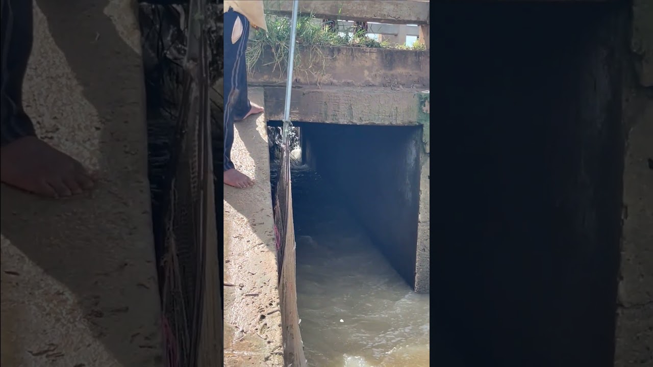 Real Life 100% Net Fishing In River At The Countryside .(Episode 139)