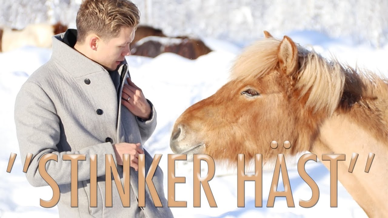 DU, JAG & HÄSTARNA S01E01- ''Det stinker häst''