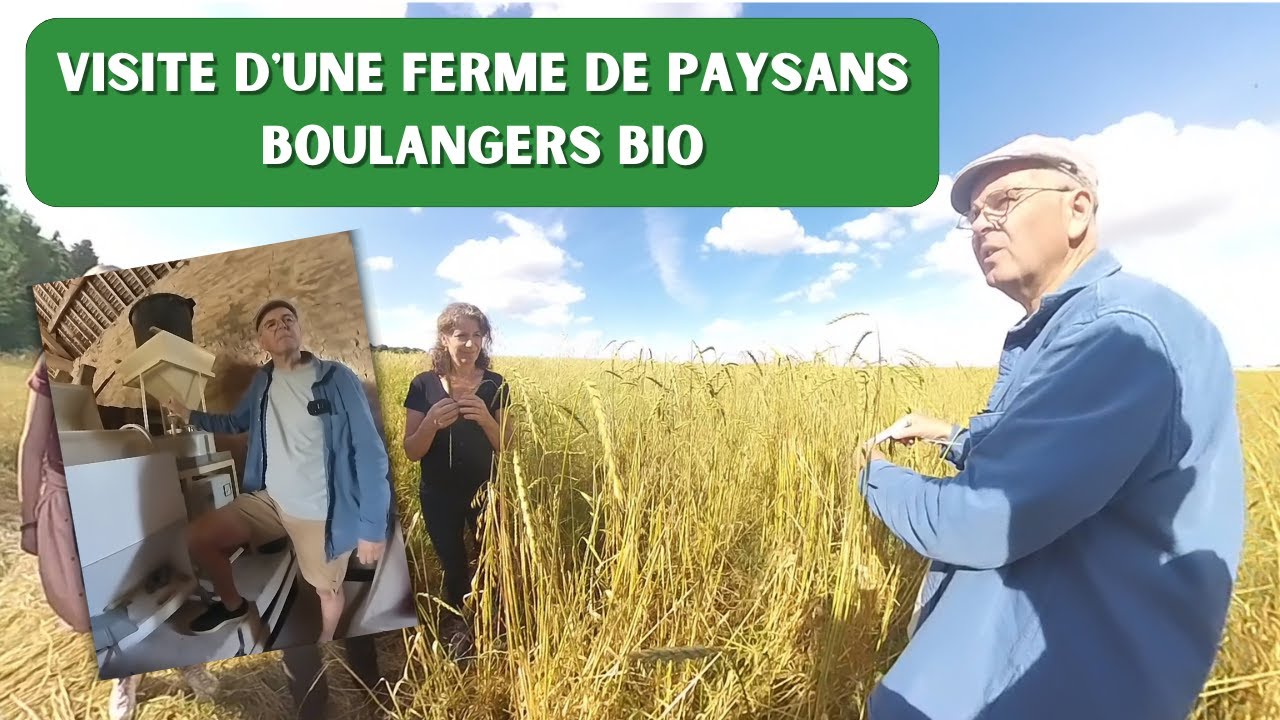 Visite de Les Champs de Blé, Paysans Boulangers bio