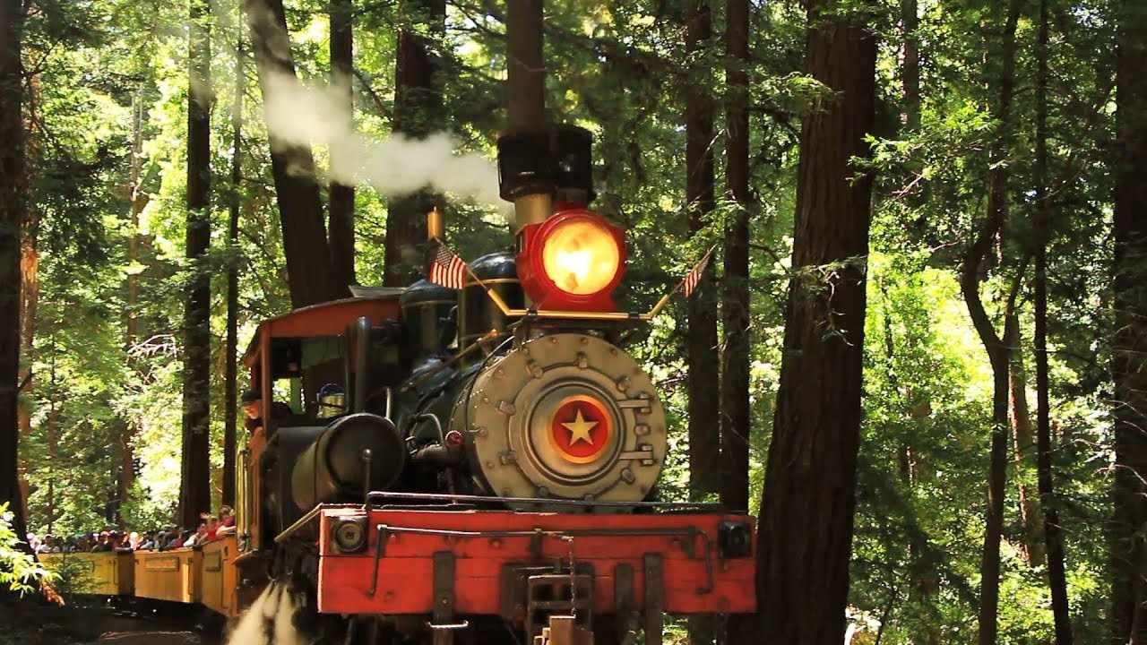 Roaring Camp & Big Trees Railroad: The Redwoods Experience