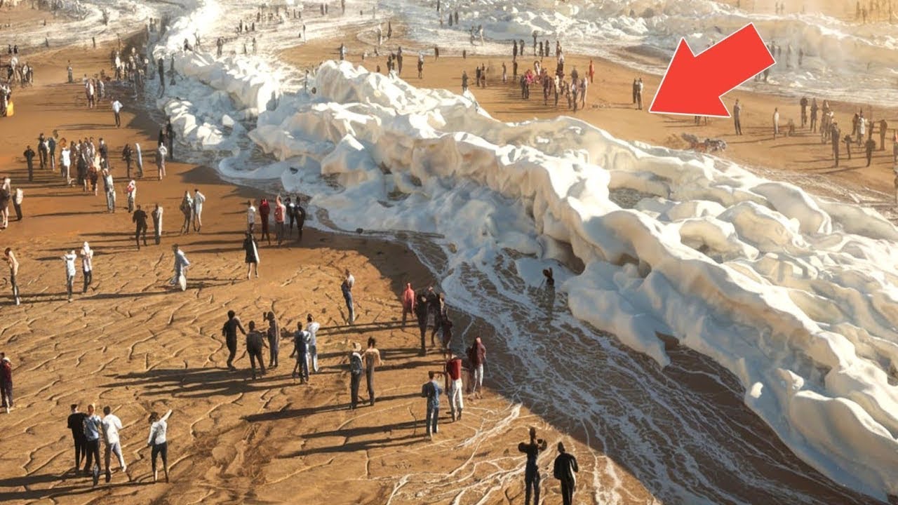100 Momentos da Natureza Mais Incríveis Capturados em Câmera