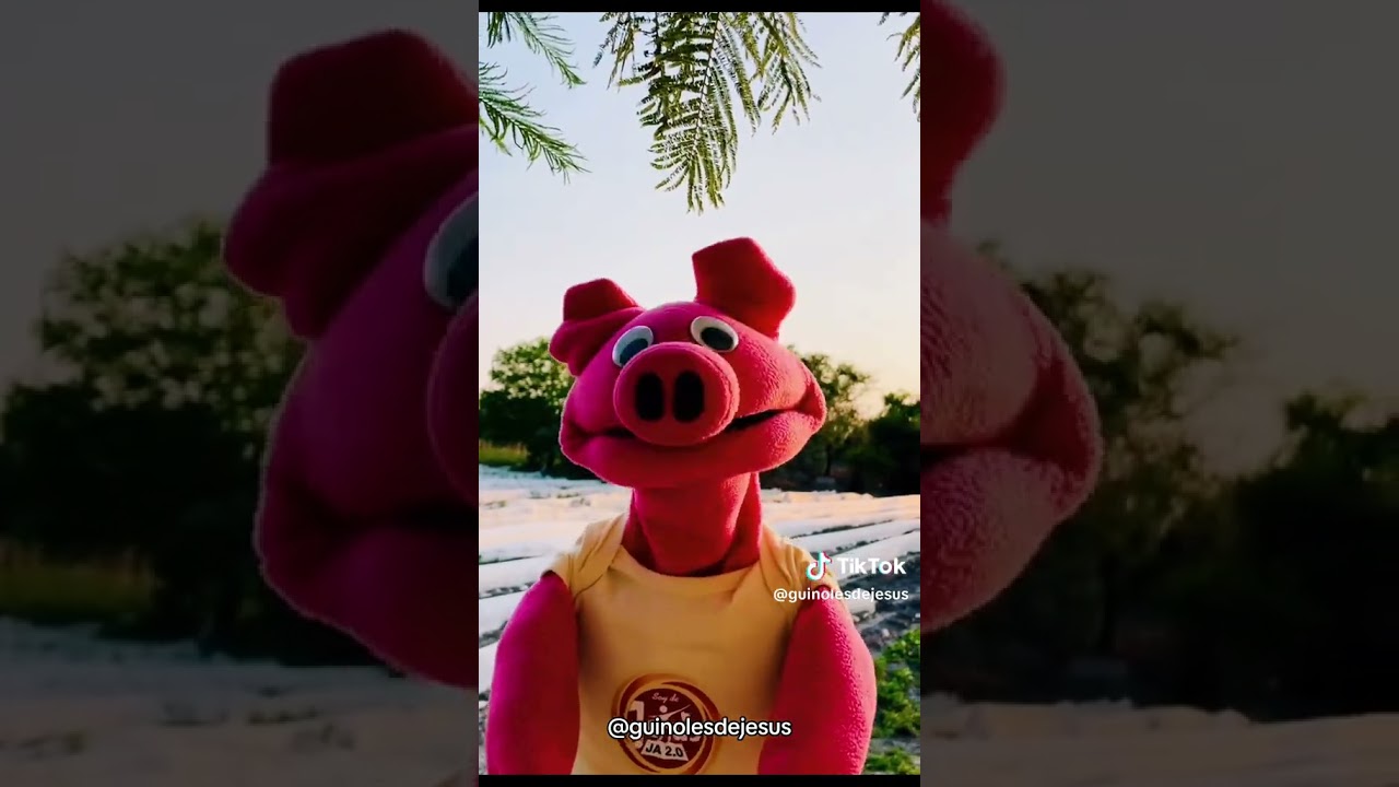 D&Oacute;NDE EST&Aacute; DIOS? 🔸 Gui&ntilde;oles de Jes&uacute;s 🔸 Puppet / Marioneta / T&iacute;tere boc&oacute;n / Gui&ntilde;ol 