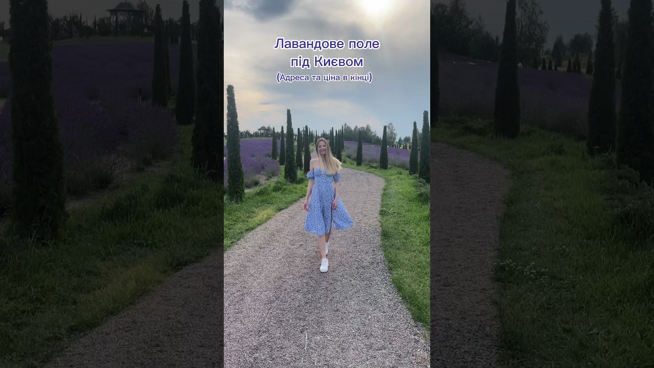 Лавандове поле під Києвом