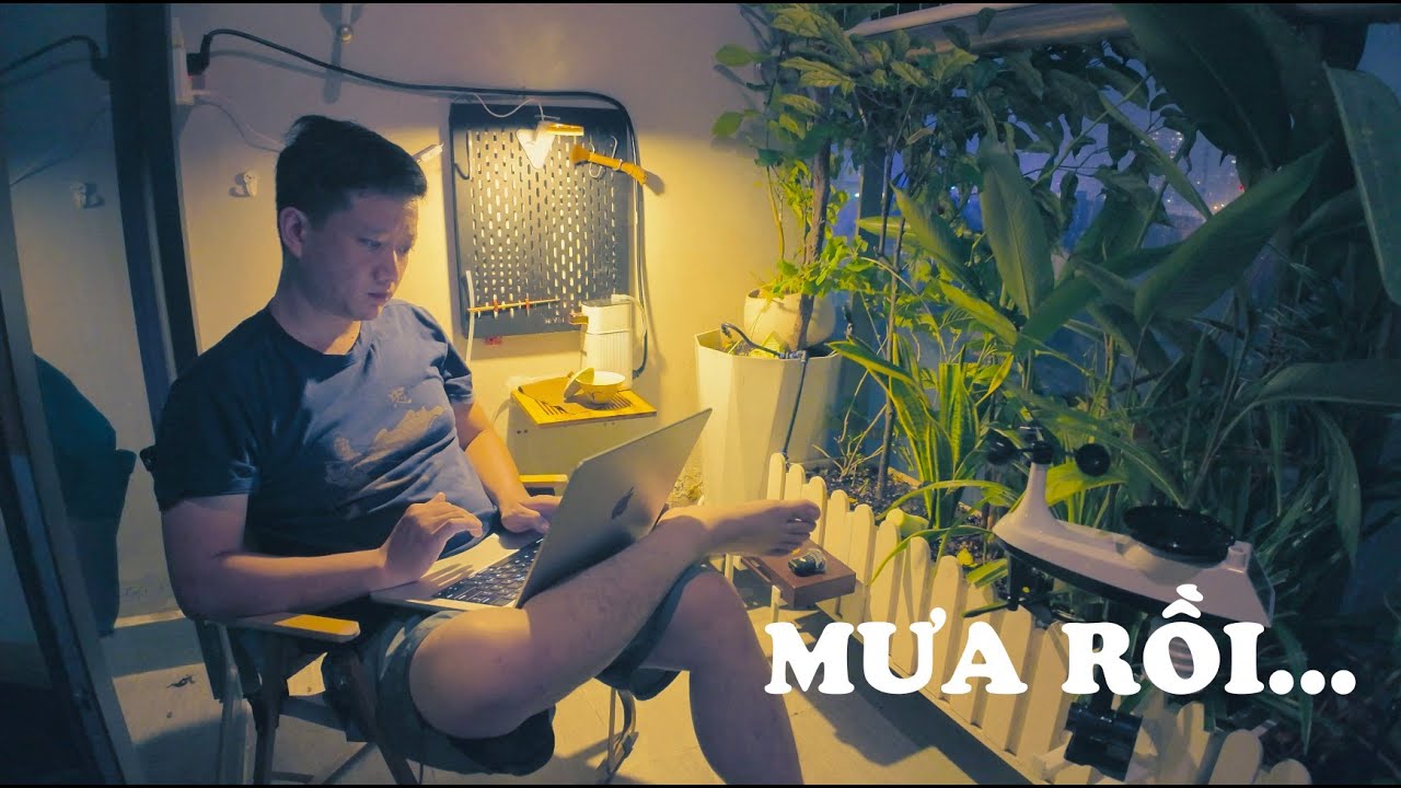 Nghe nói sắp bão, tôi lại trồi lên đây