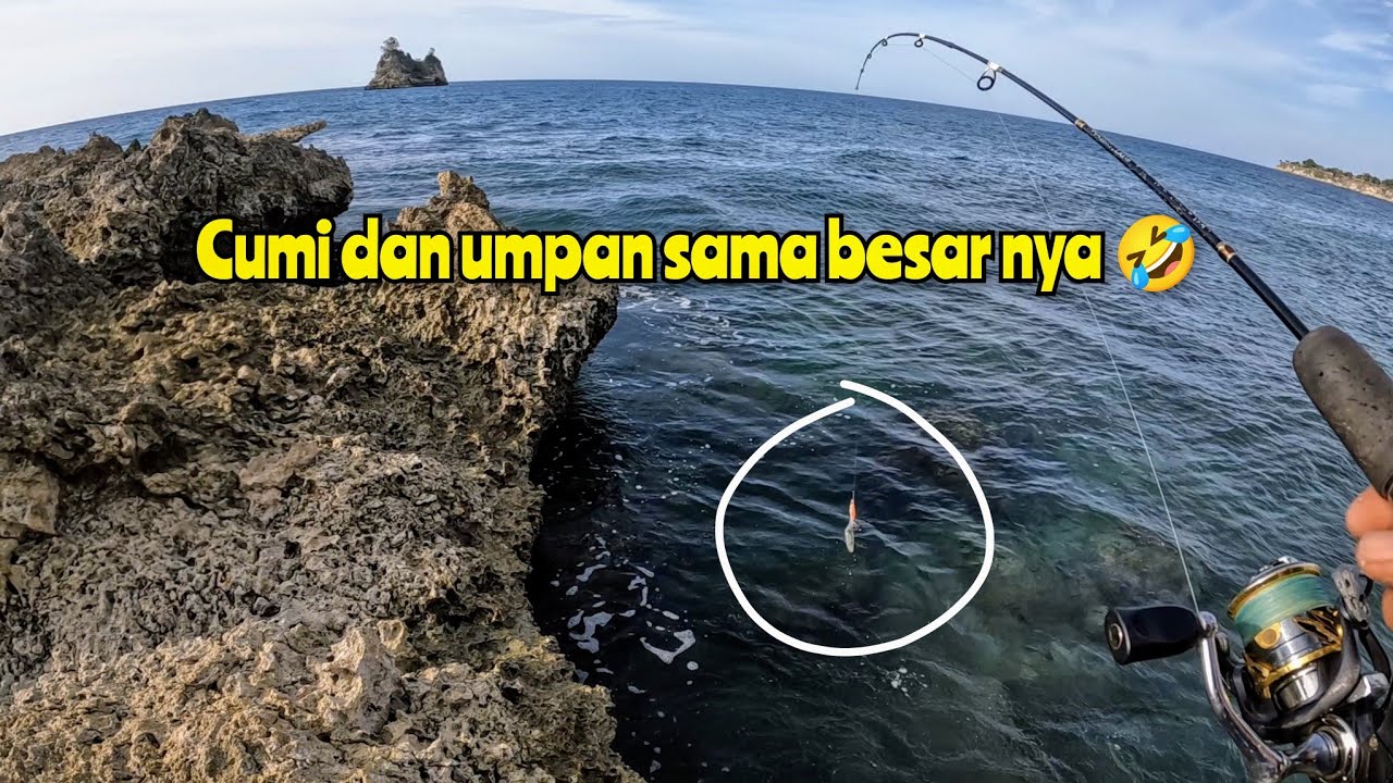 Mancing cumi sore hari | ciri-ciri spot yang ada cumi-cumi | Ultralight fishing | Fishing Squid