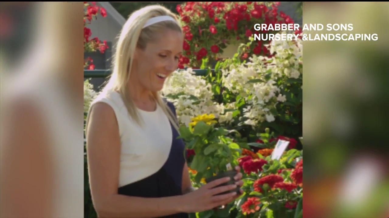 Tips on plants to create a lush landscape