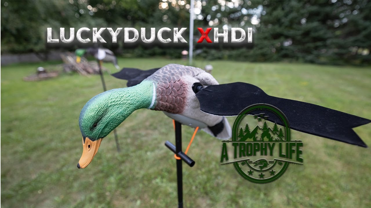 ‼️ The NEW Must Have Decoy for Duck Hunting 2023 ‼️ LuckyDuck XHDI Spinner Review/First Look.