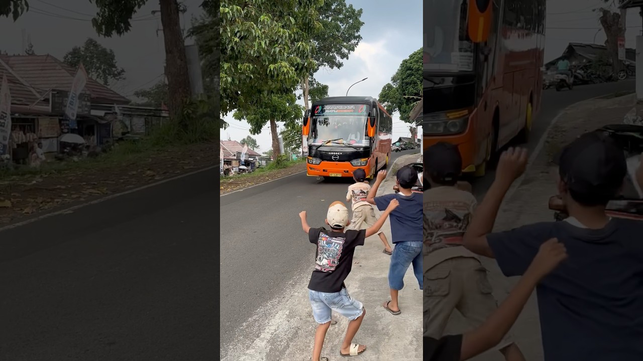 TELOLET BASURI BUS RATU BOCOR #teloletbasuri #busmania #basuri