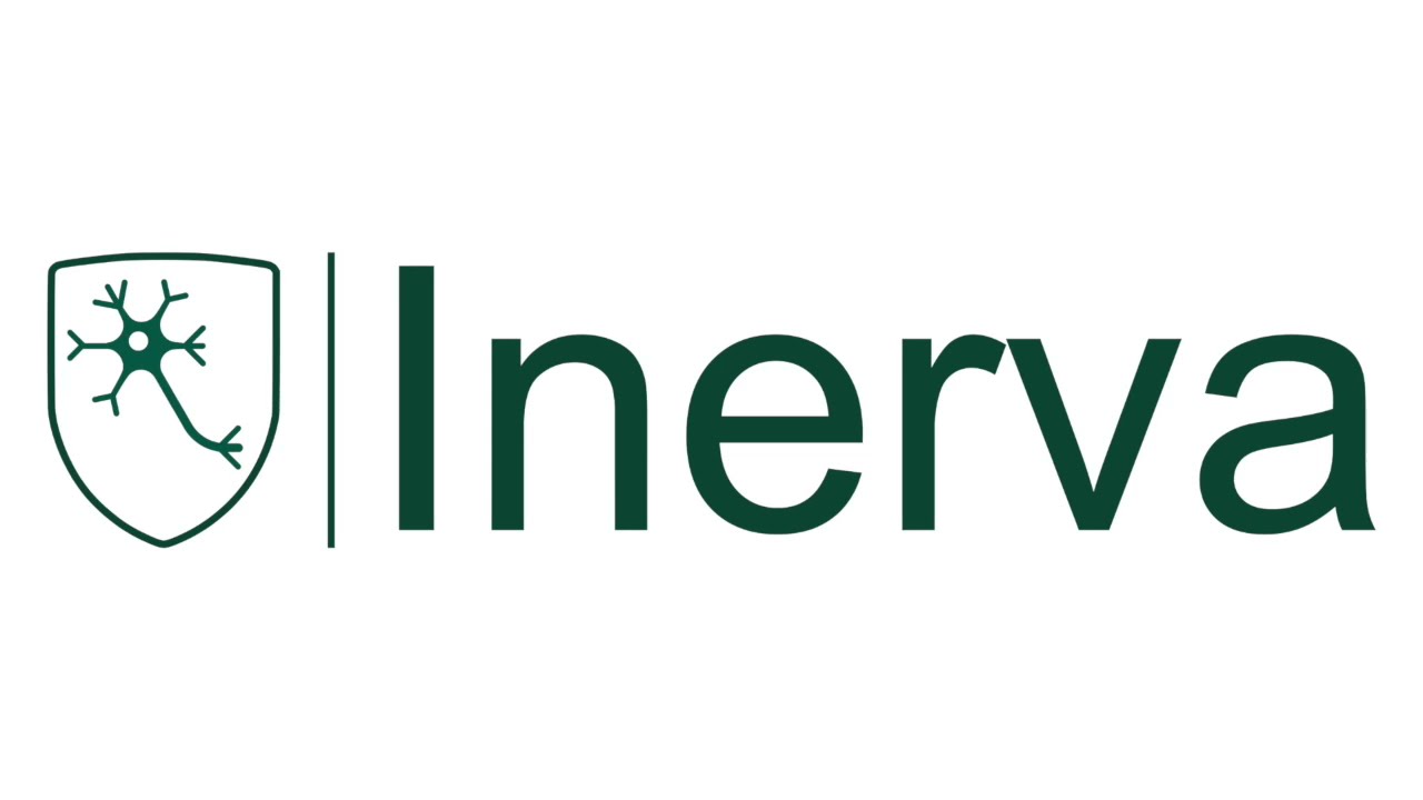 Inerva | Instituto de Neuromodulação e Reabilitação Avançada - Projeto 3D