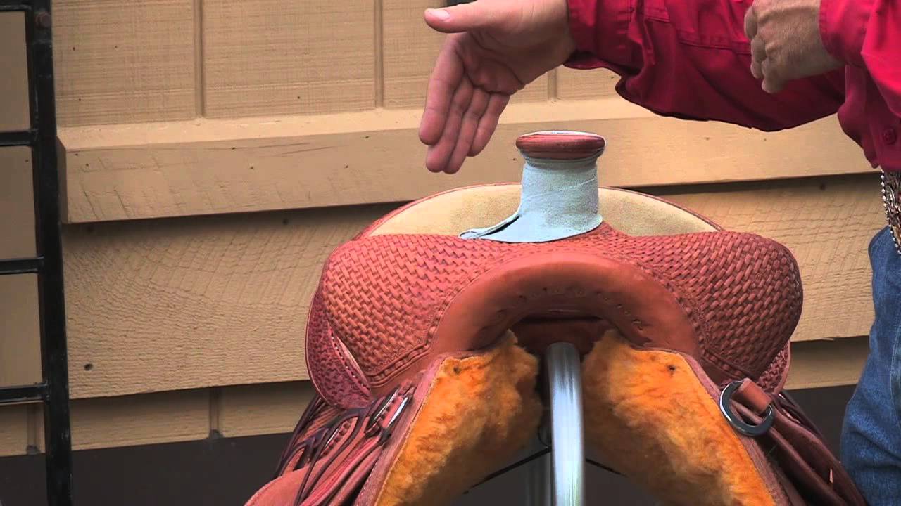 Stagecoach West Denny  Chapman Saddles