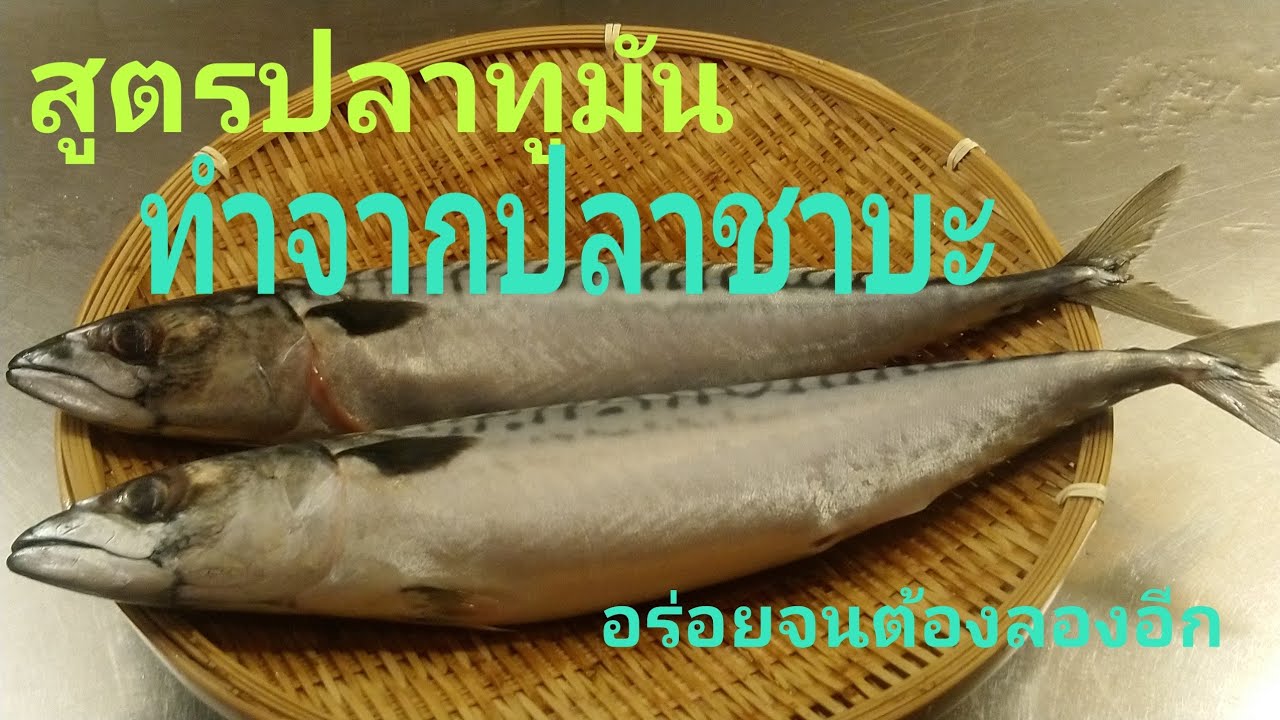 วิธีทำปลาทูมัน. ทำจากปลาชาบะไว้กินที่บ้านอร่อยจนลืมปลาทูไปเลยจ้าเนื้อแน่นหอมอร่อยเวลาทอดไม่คาว