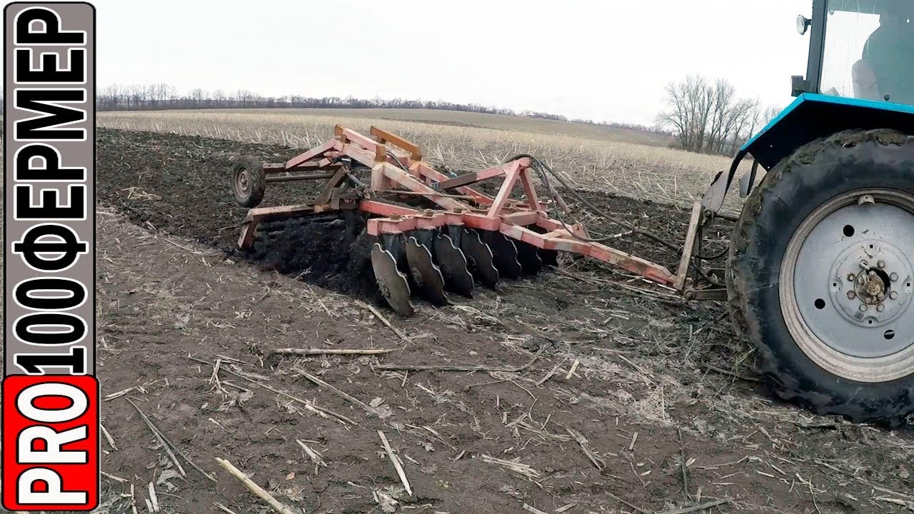 Лущение палки в феврале.