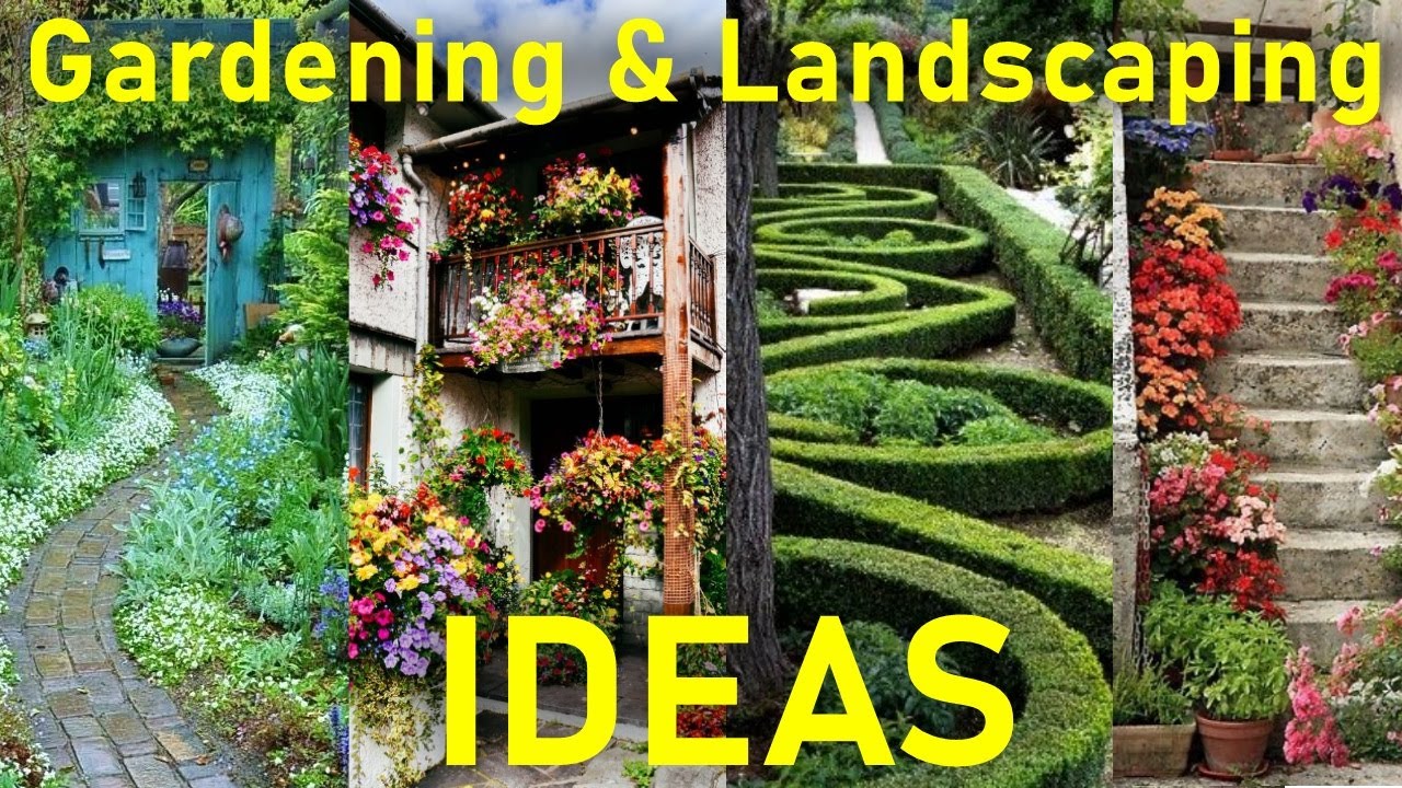 Blackheath Tree Surgeons - gardening ideas in Blackheath