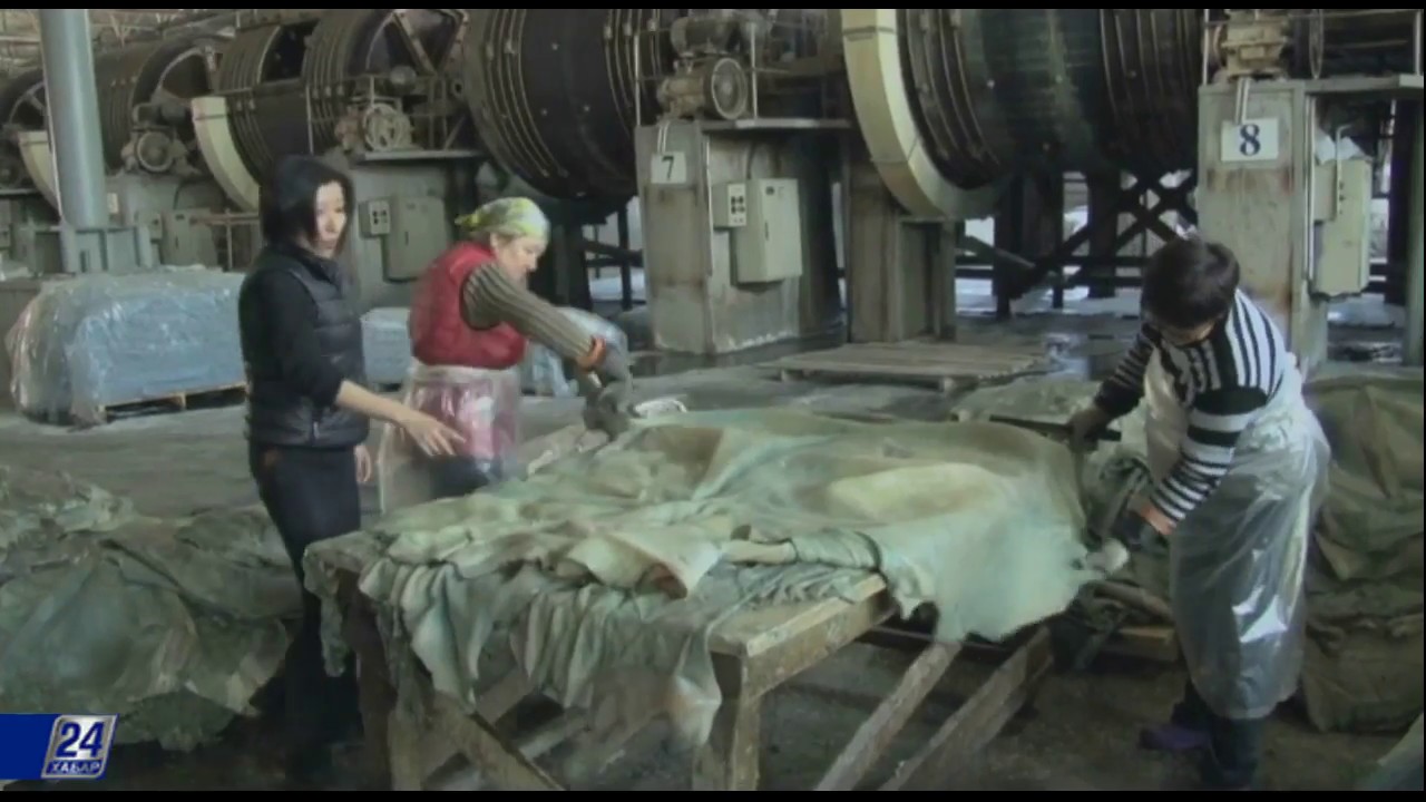 Кожевенная промышленность: казахстанские заводы простаивают без сырья