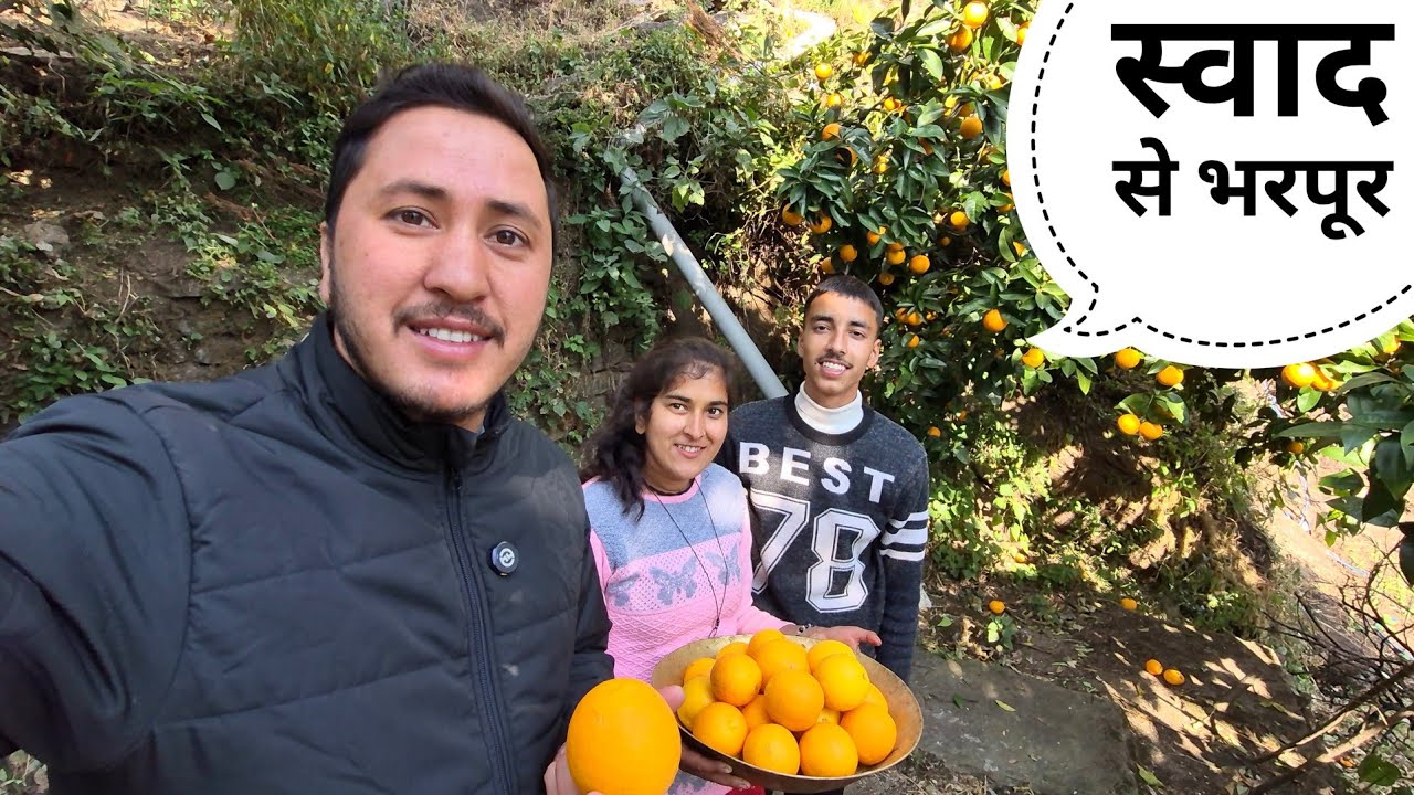 अनुज को पहली बार खिलाई माल्टे की खटाई || Pahadi Lifestyle Vlog || Cool Pahadi