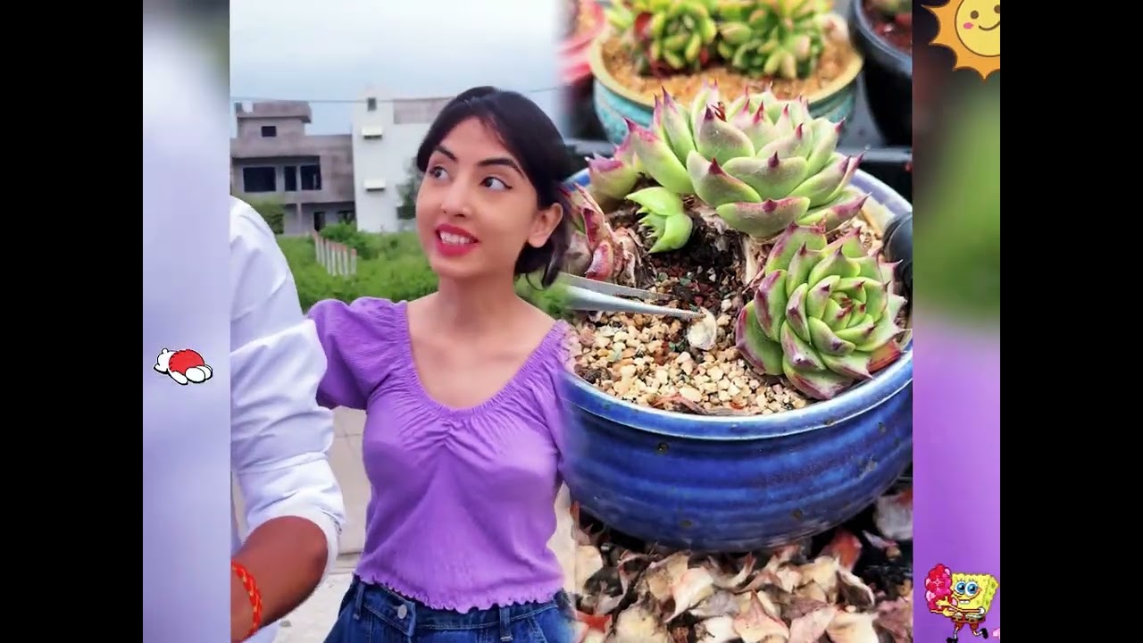 2026 pov Must-Watch Crazy Clips Compilation #humor #fypシ #pov #fyp #foryou 😍😜