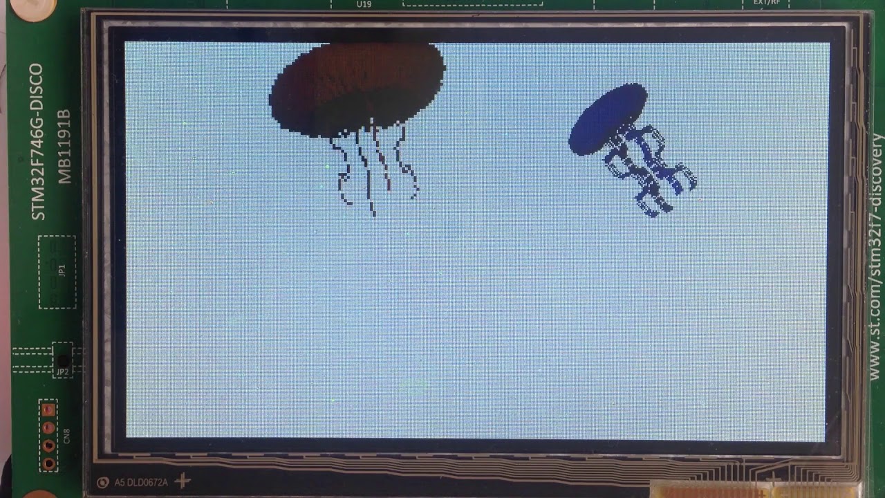 Running mathematical model of 3D jellyfish on ARM Cortex-M7 core