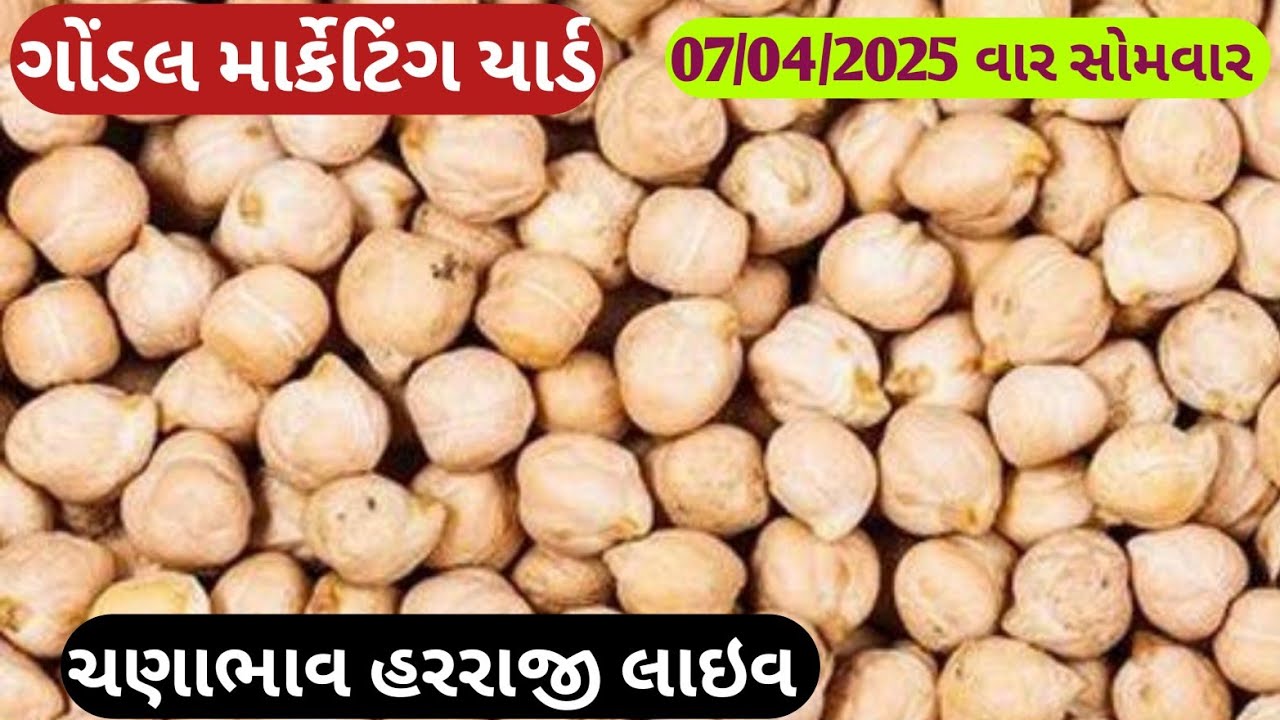 ચણા ના બજાર ભાવ લાઈવ / નવા ચણાના બજાર ભાવ / ચણાના બજાર ભાવ / ચણાનો ભાવ / 07.4.2025