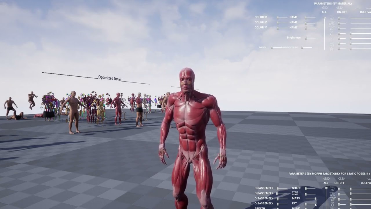 Anatomy Ultimate Pack