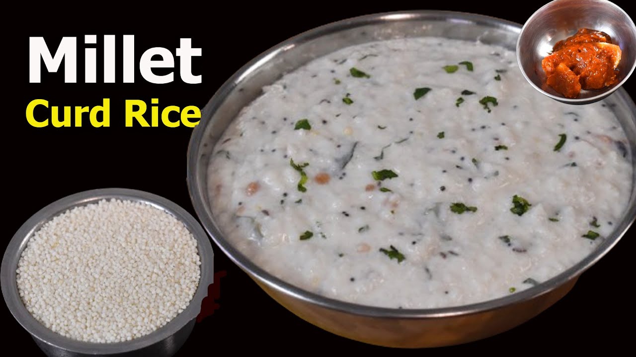 Millet Curd rice Recipe | How to make Creamy millet for breakfast/lunch/dinner
