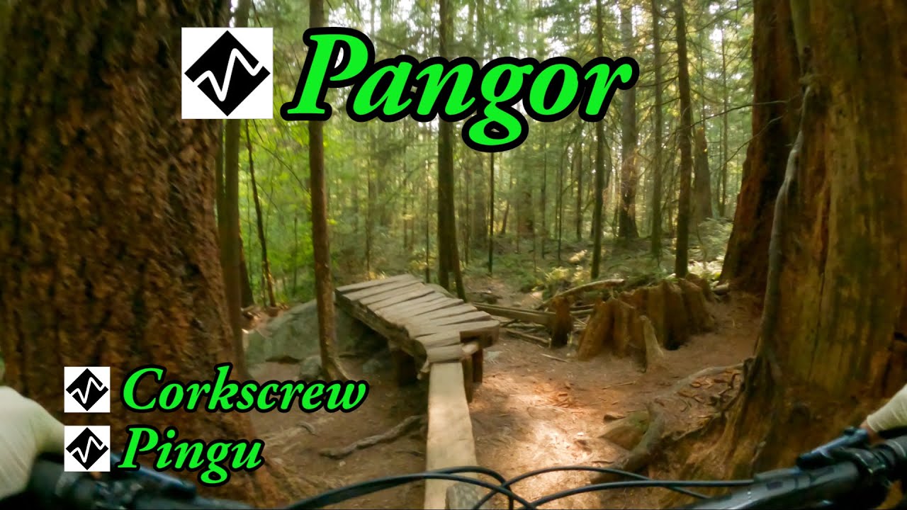 Best Expert MTB Loop on Mount Seymour, North Vancouver, BC - Corkscrew, Pingu and Pangor