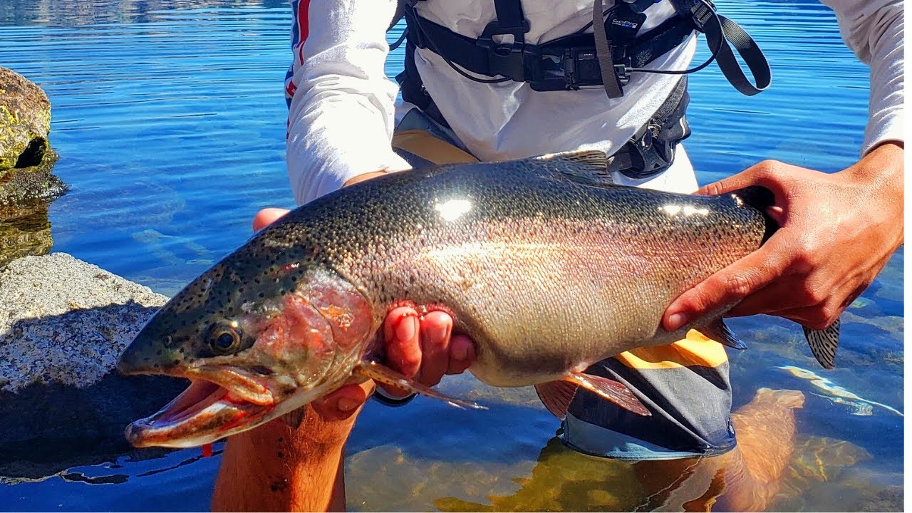 I Went Fishing in CRATER LAKE?!?!